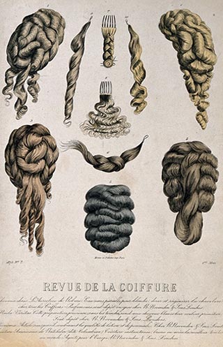 Illustration of twentieth century postiches, pre-made small wiglets, curls, false buns